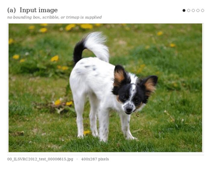 Frame from the segmentation demo showing an input image beside its predicted mask